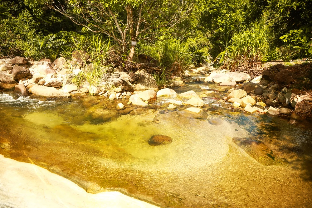 Cachoeira 6